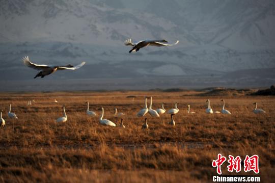 �½�����3��ָ�ʪ��6.9��ĶҰ���������ࣨͼ��