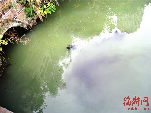 ���ݺ�������ֱ�ű���������4�ھ������Σ�ͼ��