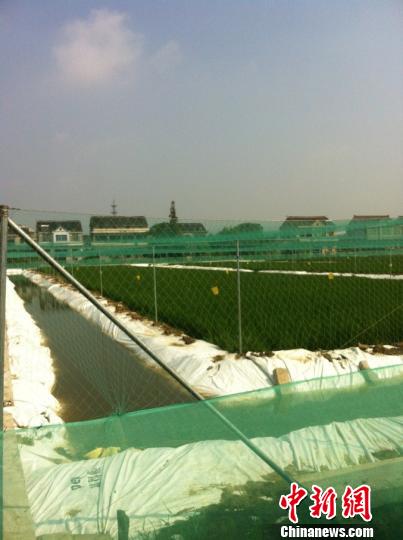 �㽭����ũ���֡������ҼĶ�ո��������׼�