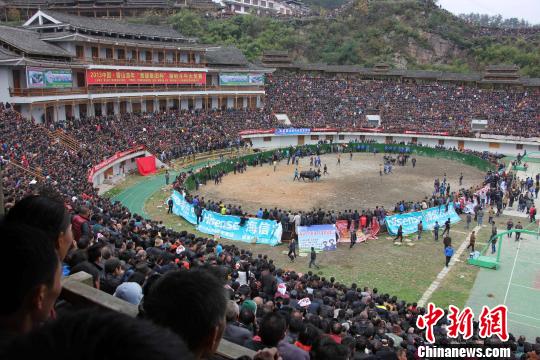 ȫ��ţ��������Ԫ����ս������ɽ