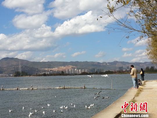 ���������������2��Ķ�ƽ���̬��