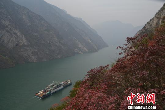 ��Ͽ��Ҷ�ɿ�����������Ϊ������ɽ���ս�6��