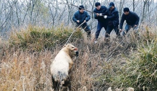 ���ţ��Խ�������˺Ϸ��ؾ�������ǹ�������