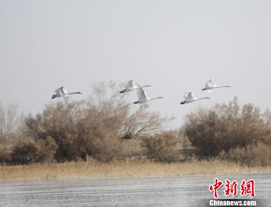 �������Ϸ�½��ϲ�ɳĮʪ��