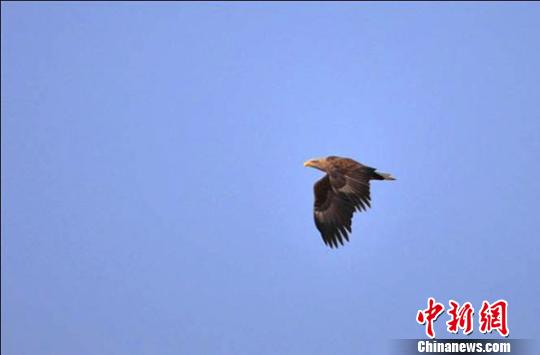 ����ػ;��ڷ��ֹ��ں�����β����ͼ��