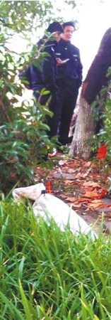 �����˺ӱ߲ݴ�������Ҽ��ŮӤ������ʱ������