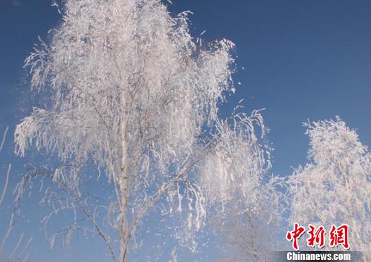 �½�����̩ѩ������ڡ���ۣ�ͼ��