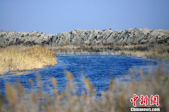 �½������Ϳ��˹�ˮϵ��ɳĮ��˿��