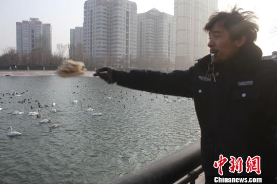 ���ع����ȸ��Խ�����½�����ն�����ɫ����