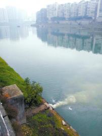 �����Ĵ��ݺ���ˮֱð�硰��ͻȪ�������ֱ�̬������