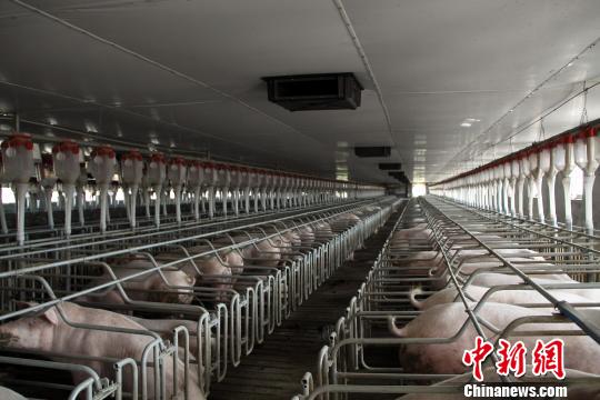 �����ֽ����������Ƽ��˸ĸ����������ˮ�ÿ���