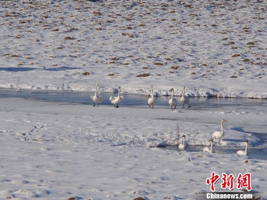 ���������º������½�����ǧ�������ʳ��