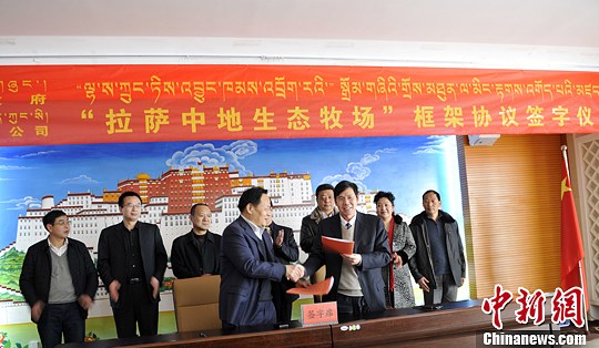 �������2020��ʵ����ţ����20��ͷ