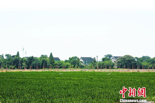 ���ϡ������ߡ�������������̽����̬��������