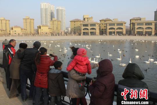 �½�����ǡ��������Я�׿�ȸ���Ϲۿ����