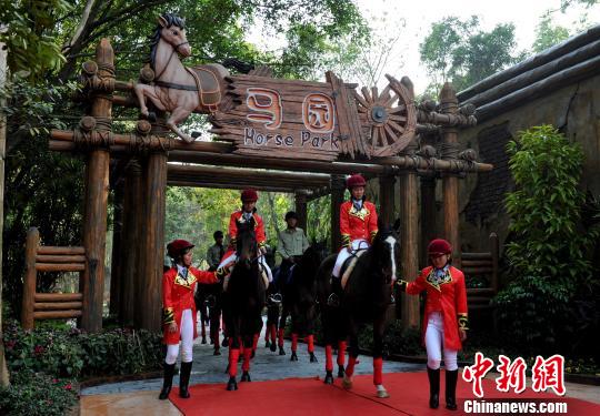 ����������ƥŷ�޹����������ꡱ