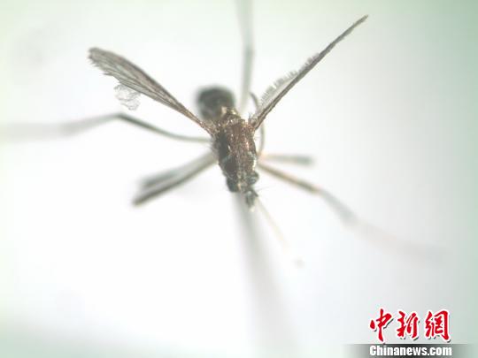 ���տڰ��״νػ񰣼�����Ϊ���Ȳ��͵Ǹ��ȴ���ý��