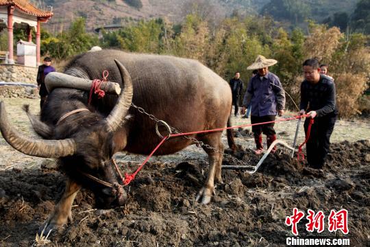 ����¥֮�硱�����������ο��������