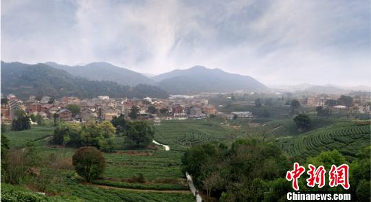 ��������������ũҵ��ؿ���������崮�����