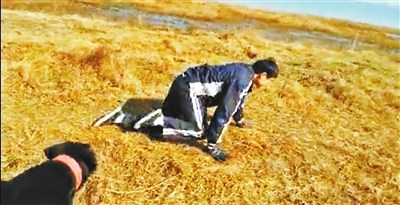 ����Ԥ���Ա�Ʋ��������̶�����ŵ����ǧ�ף�ͼ��