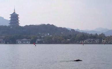 Ұ������������Ӿ��Сʱ�����߶�����ͼ��