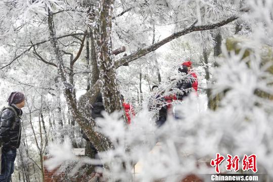 ����÷��ɽ���֡�������⡱����������ѩ������