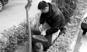 ��������Ʒ�յ�26����Ԫ�ٳ�������ץ��ͼ��