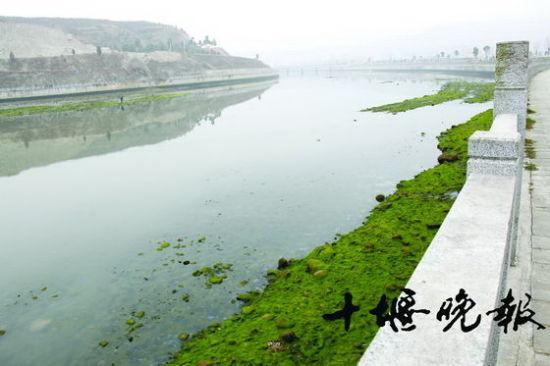 ����������ʧ������Լ�Ծ�д�����Ϊ������ֵ