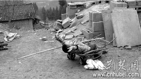 5���к������չ������¼��������̲��뱻������ͼ��