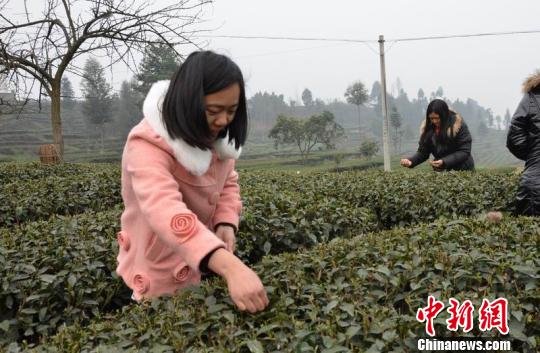 �Ĵ����ţ�����۸�߲�ũ��ժæ