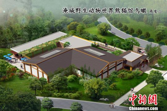 ���ݶ���԰������è���ҽ���ʽ����ӭ�ӹ���