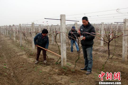 ��ˮ�����������������Ѽ�ǰ���紺��ͼ��