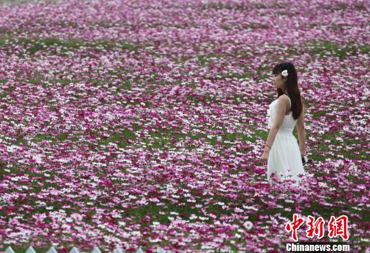 ����ǧĶ������������ϲӭ�����´�