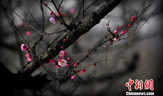 ����ů������<a href=http://www.25b.com.cn target=blank>�Ͼ�</a>÷��ɽ��÷��÷���ӭ�´���ͼ��