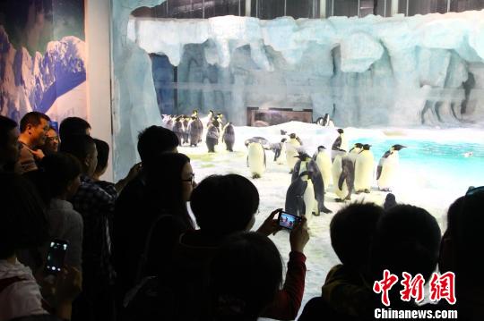 �麣��¡����������������硱������