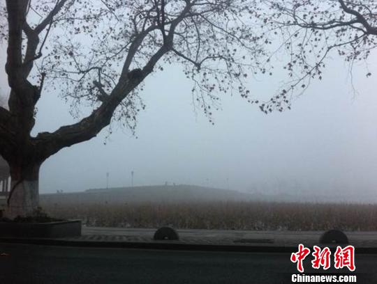 ���������Ϧ��������113��ȼ�Ż�����������