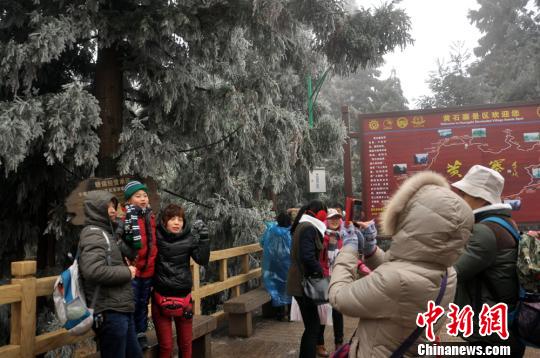 �����żҽ��ʯկ����������������ڡ����