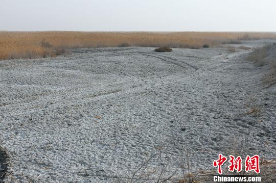 �½���˹�ں�ʮ��ˮ���������460ƽ������