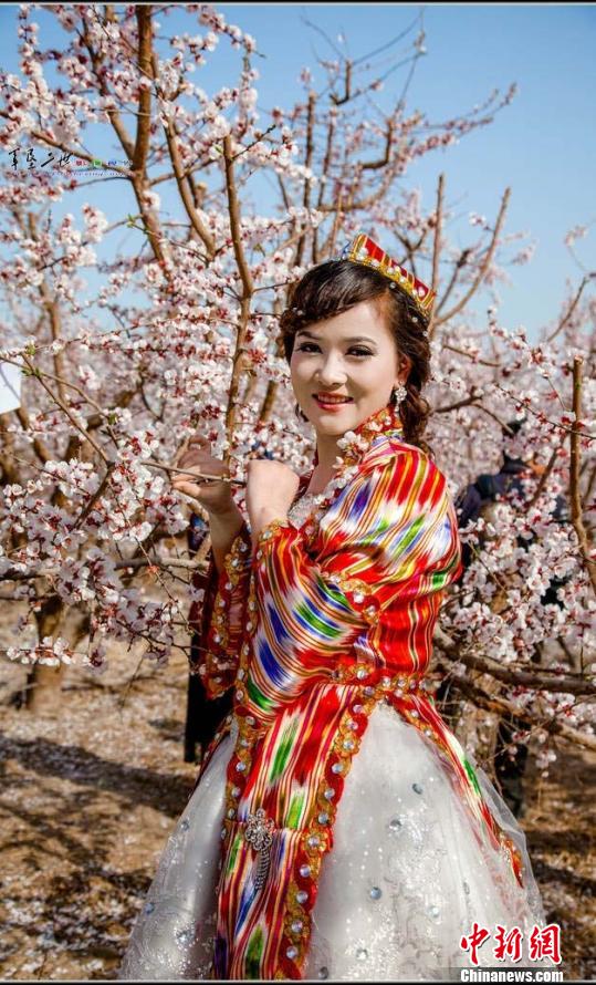 �½��п�ѷ���͡�Ѱ���½���Ҽ����