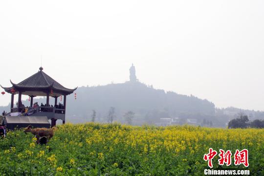 ��������30��Ķ�Ͳ˻�������������ͼ��