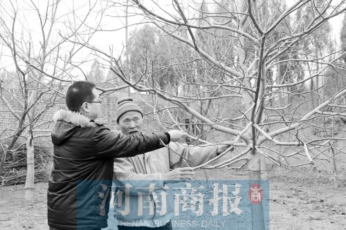 ʧ�����˻�ɽֲ��15��ÿ�����200ƽ���Ӳݣ�ͼ��