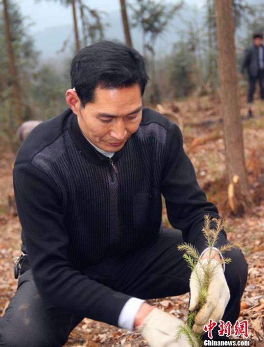 ������ʩũ��׷����ɫ�Ρ�7��ֲ��50�����