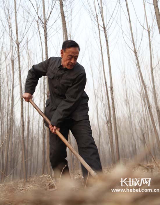 �ӱ�ֲ���޹�������18��������еĤ����ޣ�ͼ��