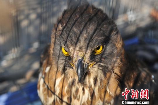 ��������������Ұ�������������ж�������