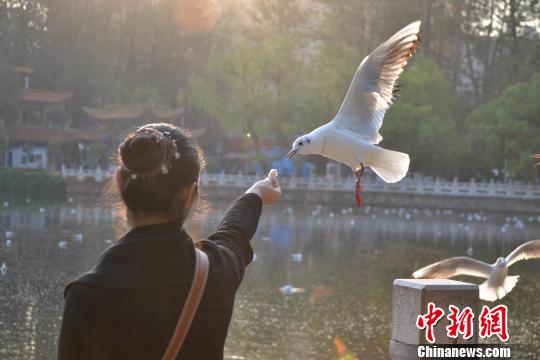 ����Ÿ����̤���������ǹ�;������������ϧ��