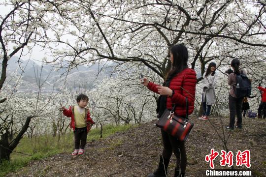 ����ͳ����Ķ�3�¿���ɽ��Ʈѩ�������ˣ�ͼ��