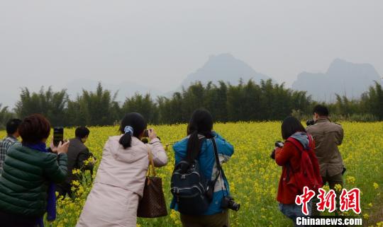 �㶫��ϼɽ��Ķ�Ͳ˻�����������֯��ͼ��