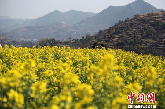 �㽭��̨ǧĶ�Ͳ˻���������ũ����³�ͷ���ϰ�