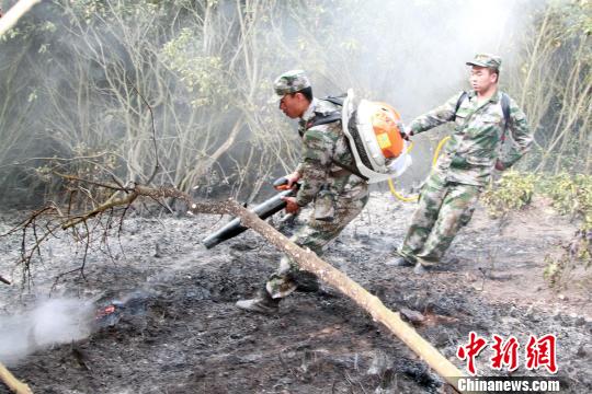 �����и�����ɭ�ֻ�������������ͼ��