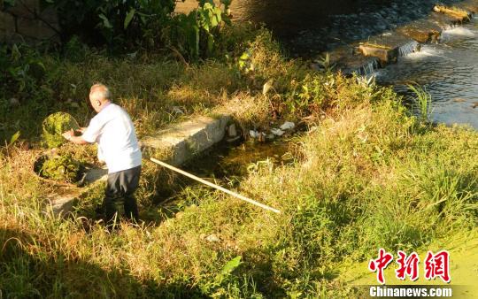 �㽭�ٺ�86��������Ը�����ӳ�������Ѳ��18��